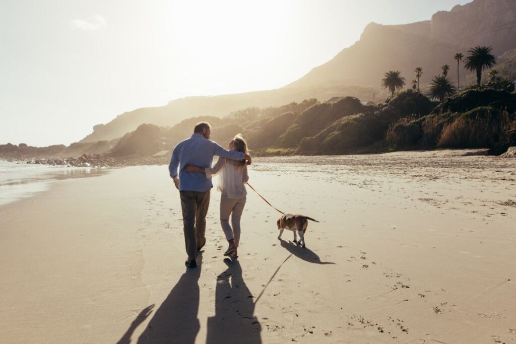 Safe Withdrawal Strategies in Retirement